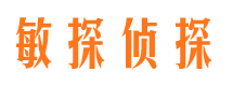 石门市调查公司